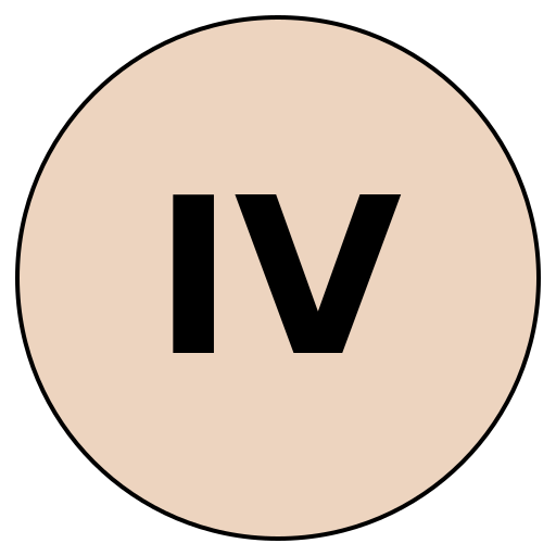 InsightVacay